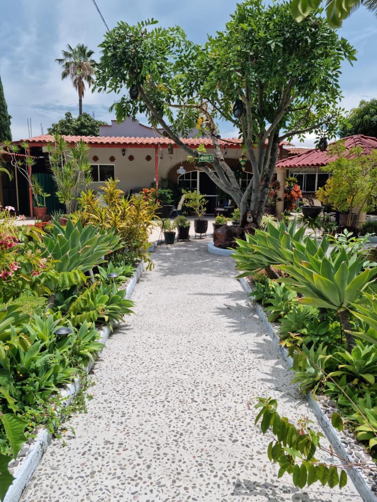 Casa De La Abuela Bed and Breakfast Ajijic Εξωτερικό φωτογραφία