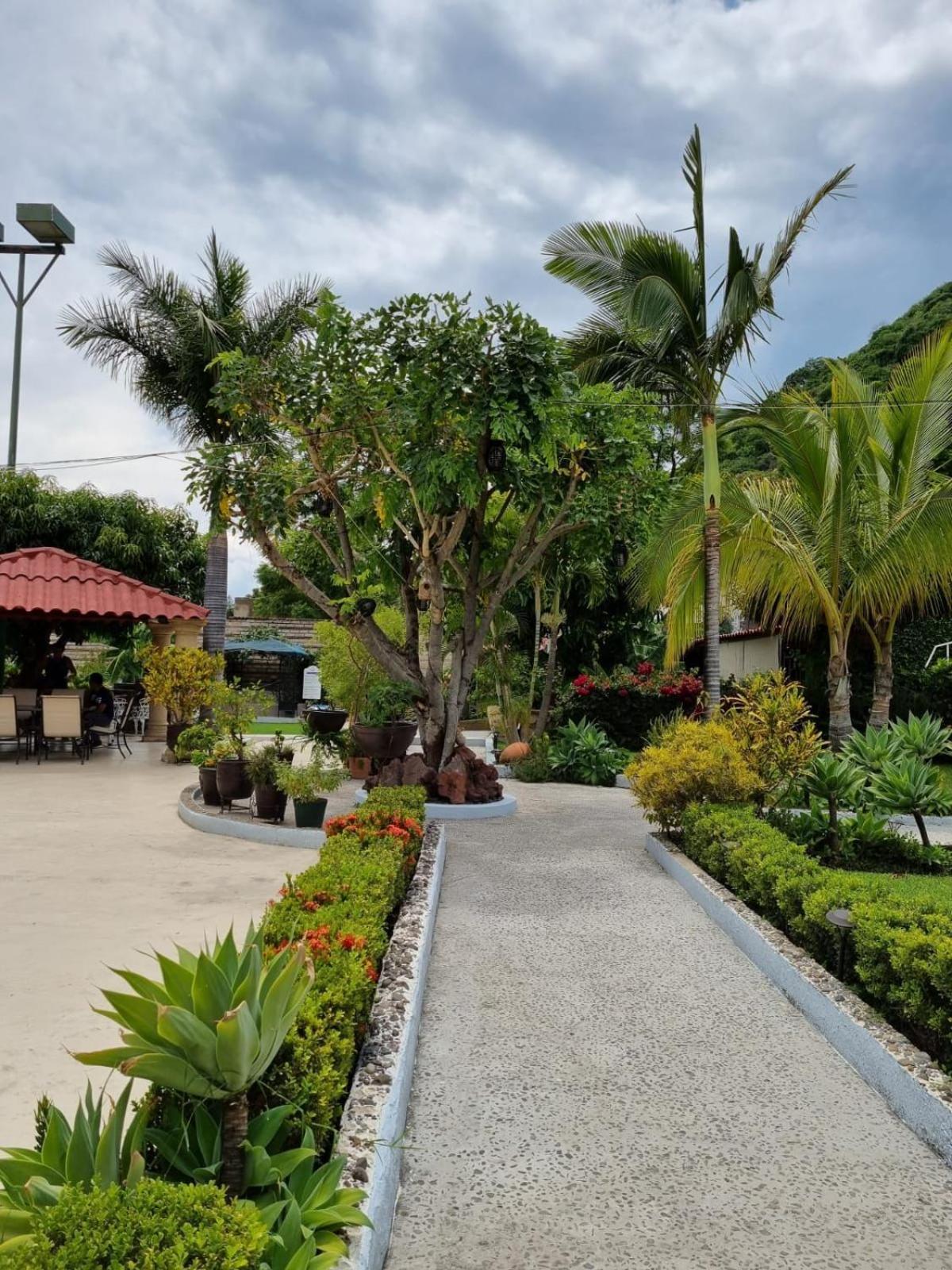 Casa De La Abuela Bed and Breakfast Ajijic Εξωτερικό φωτογραφία